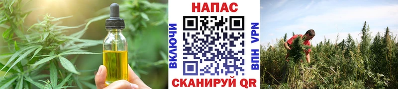 сайты даркнета официальный сайт  Новозыбков  Cannafood конопля  где купить наркотик 